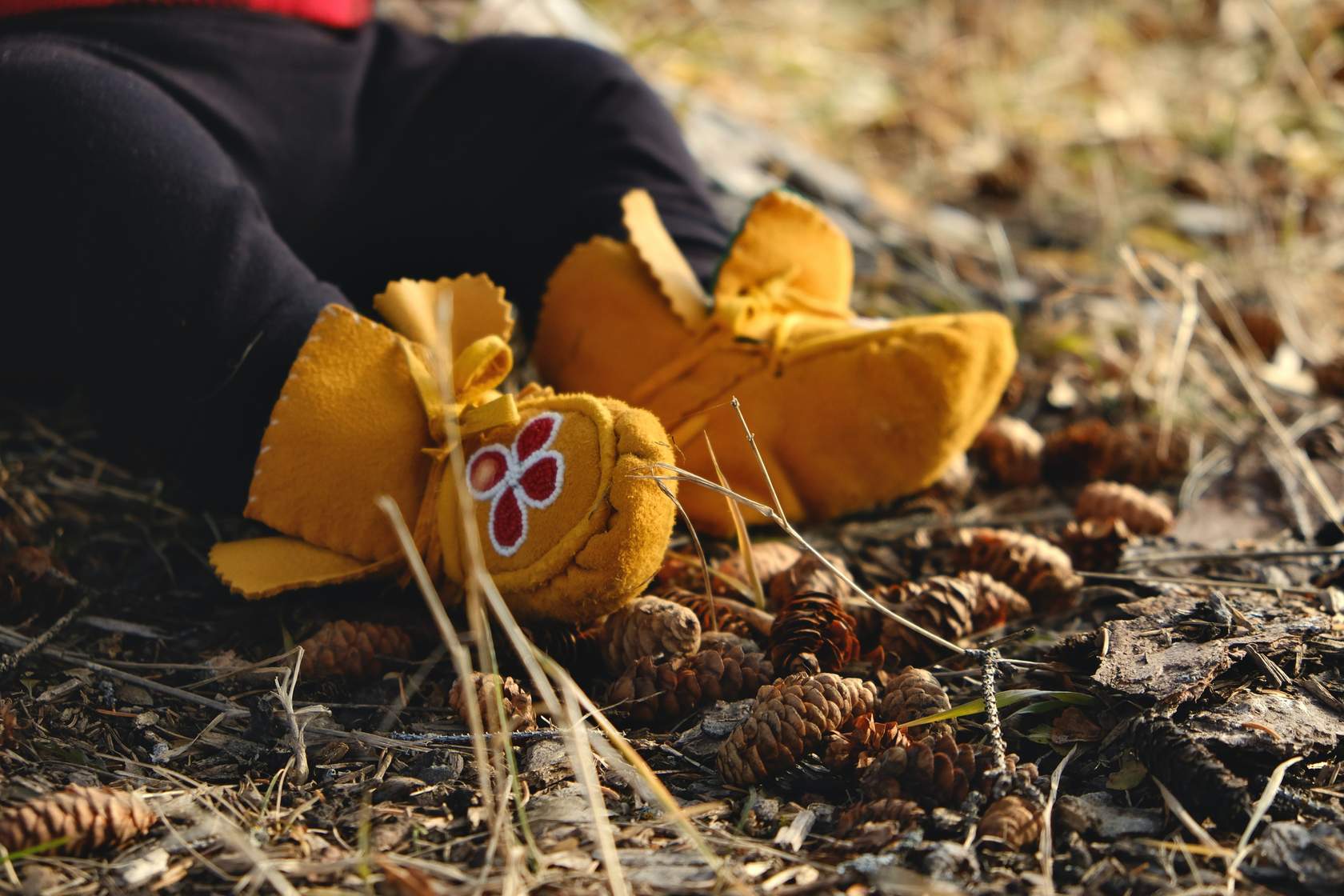 Stepping Stones to Indigenous Sport and Physical Activity Participation